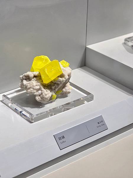 【大地瑰寶】台中科博館最新開幕的長設展廳。6歲以下免費。全台