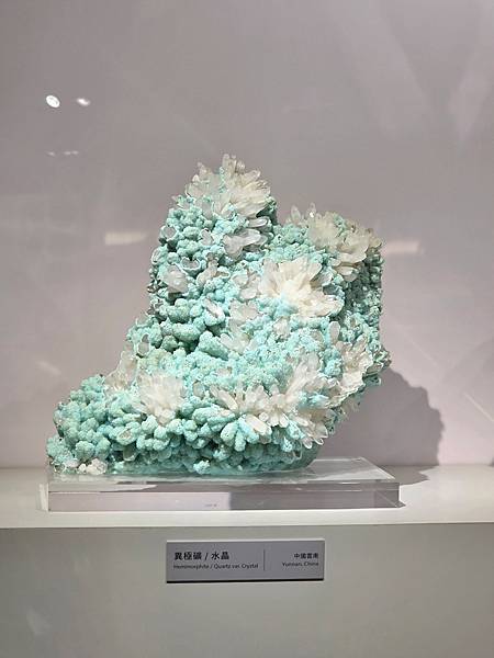 【大地瑰寶】台中科博館最新開幕的長設展廳。6歲以下免費。全台