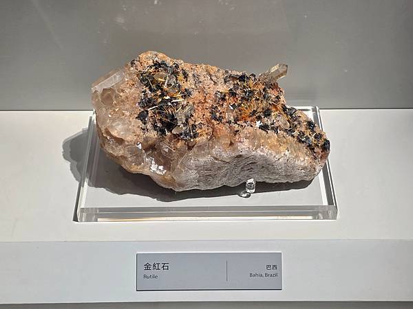 【大地瑰寶】台中科博館最新開幕的長設展廳。6歲以下免費。全台