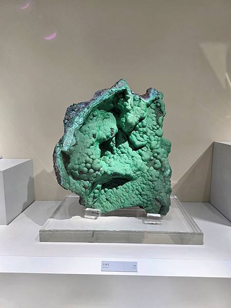 【大地瑰寶】台中科博館最新開幕的長設展廳。6歲以下免費。全台