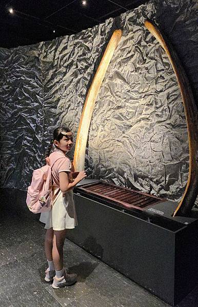 【大地瑰寶】台中科博館最新開幕的長設展廳。6歲以下免費。全台