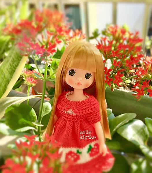 IMG_6790.JPG IMG_6790.JPG