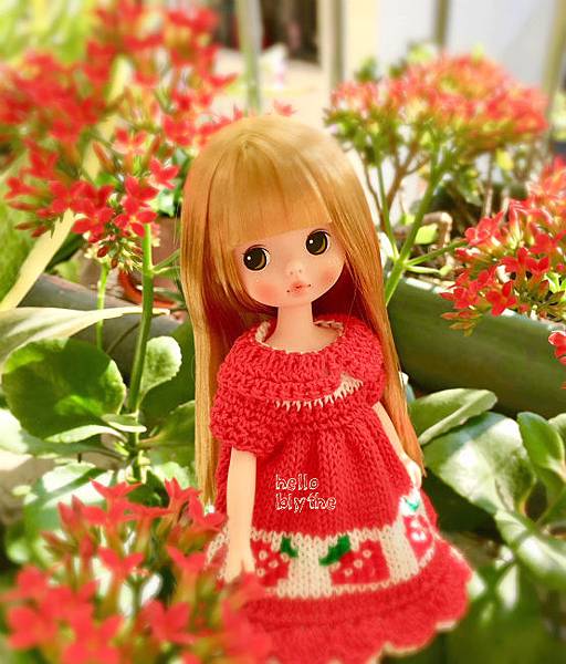 IMG_6794.JPG IMG_6794.JPG