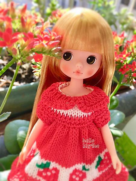 IMG_6791.JPG IMG_6791.JPG