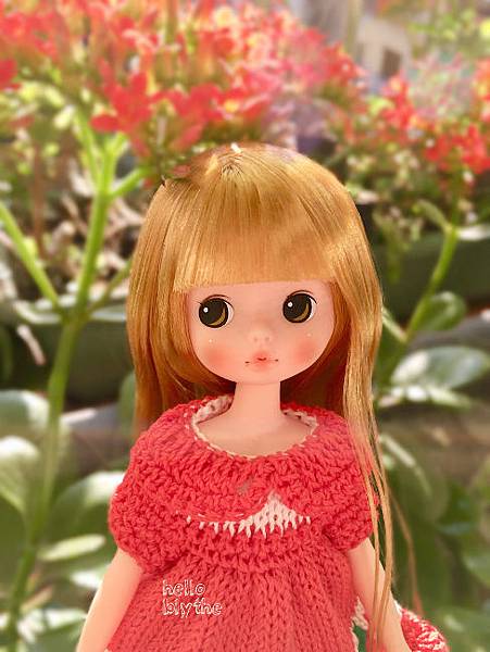 IMG_6792.JPG IMG_6792.JPG