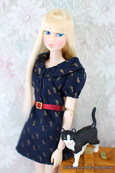 IMG_5054.jpg IMG_5054.jpg