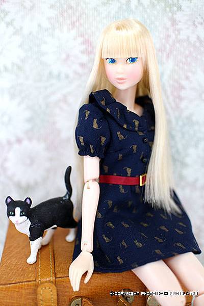 IMG_5063.jpg IMG_5063.jpg