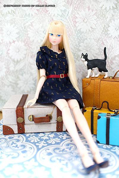 IMG_5065.jpg IMG_5065.jpg