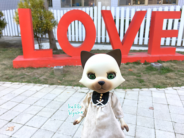 IMG_6464.jpg IMG_6464.jpg