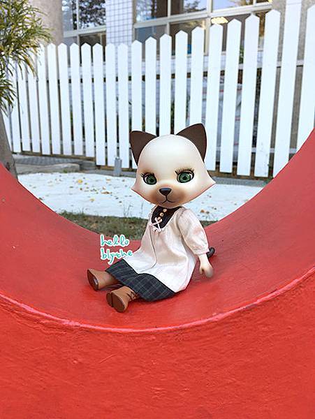 IMG_6465.jpg IMG_6465.jpg