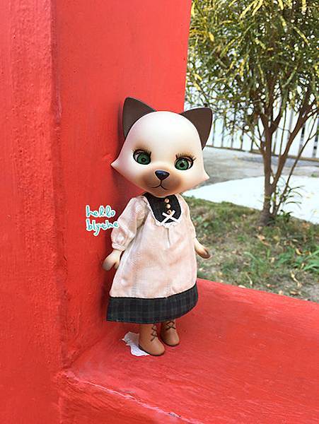 IMG_6468.jpg IMG_6468.jpg