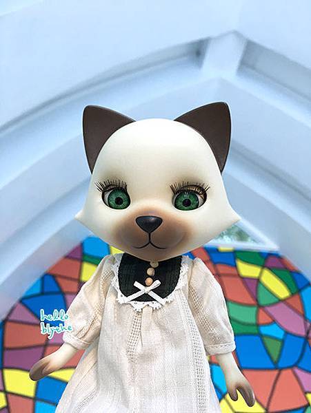 IMG_6473.jpg IMG_6473.jpg