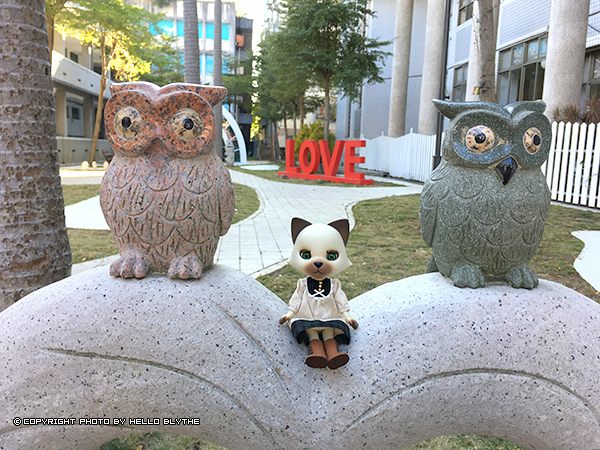 IMG_6461.jpg IMG_6461.jpg