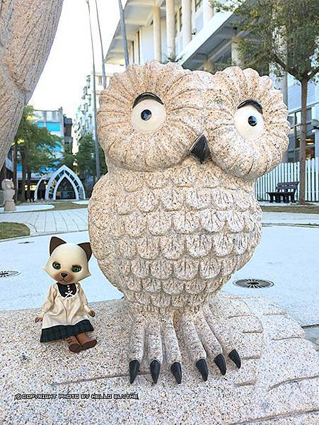 IMG_6485.jpg IMG_6485.jpg