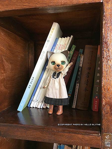 IMG_6494.jpg IMG_6494.jpg