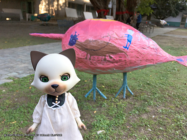 IMG_6509.jpg IMG_6509.jpg