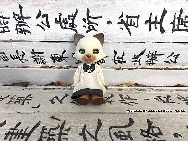 IMG_6513.jpg IMG_6513.jpg