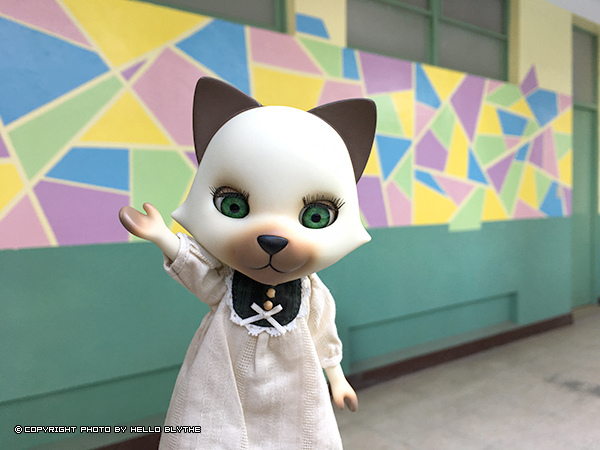 IMG_6501.jpg IMG_6501.jpg