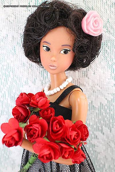 IMG_5243.jpg IMG_5243.jpg