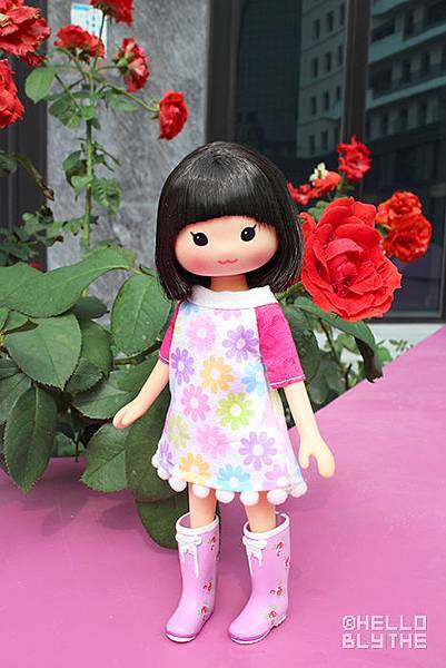 IMG_6325.jpg IMG_6325.jpg