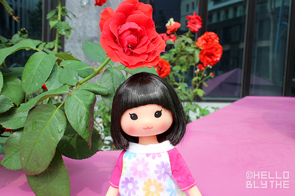 IMG_6324.JPG IMG_6324.JPG