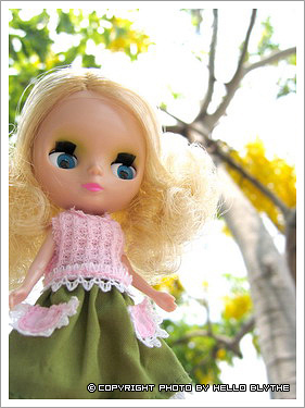 144682b042a5dd.jpg 144682b042a5dd.jpg