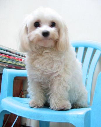 144dccb89e7715.jpg 144dccb89e7715.jpg