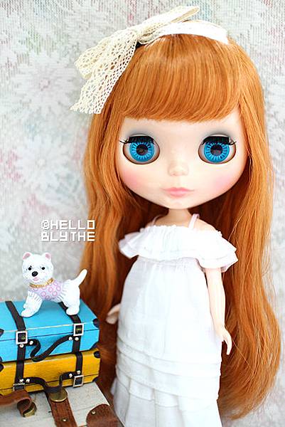 28079488575_11360a49e3_o.jpg 28079488575_11360a49e3_o.jpg