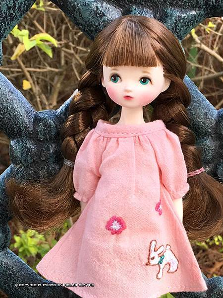 IMG_9455.jpg IMG_9455.jpg