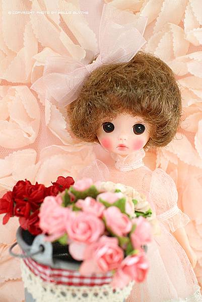 IMG_6423.jpg IMG_6423.jpg