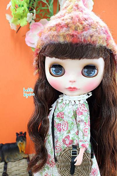 IMG_6569.jpg IMG_6569.jpg