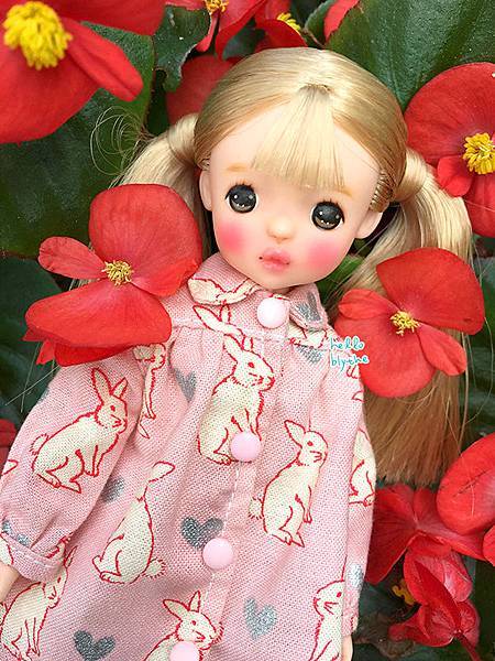 IMG_0282.jpg IMG_0282.jpg