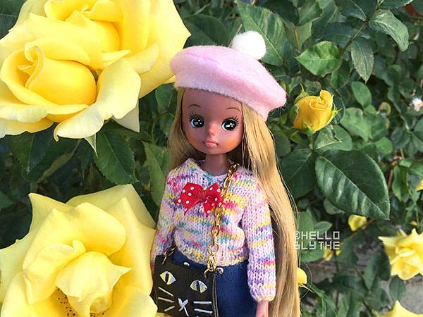 IMG_0828.jpg IMG_0828.jpg