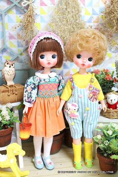 IMG_6837.JPG IMG_6837.JPG