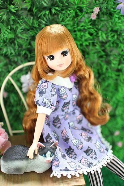 IMG_6476.jpg IMG_6476.jpg