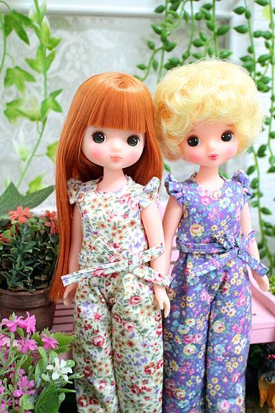 IMG_7402.jpg IMG_7402.jpg