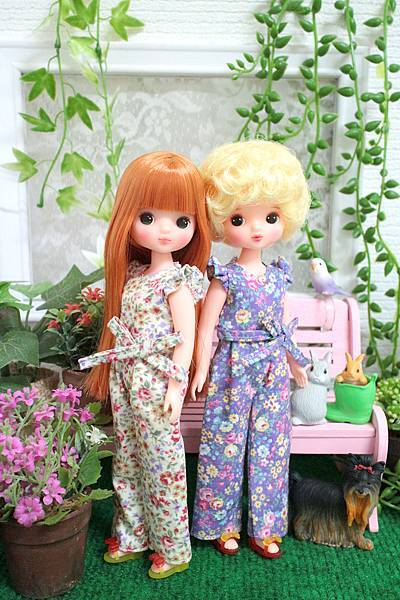 IMG_7401.jpg IMG_7401.jpg