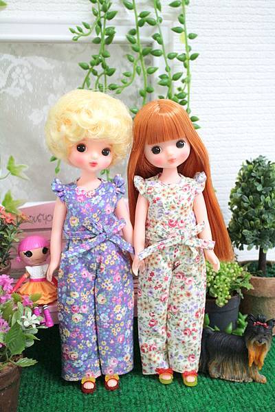 IMG_7398.JPG IMG_7398.JPG