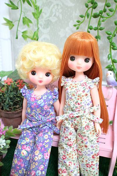 IMG_7404.jpg IMG_7404.jpg