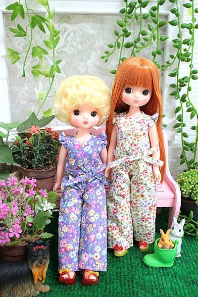 IMG_7405.jpg IMG_7405.jpg