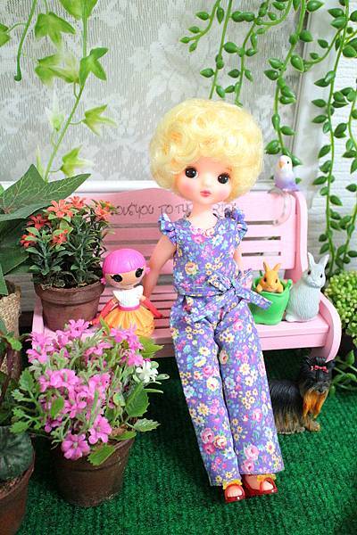 IMG_7406.jpg IMG_7406.jpg