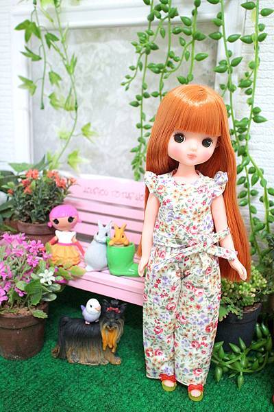 IMG_7411.jpg IMG_7411.jpg