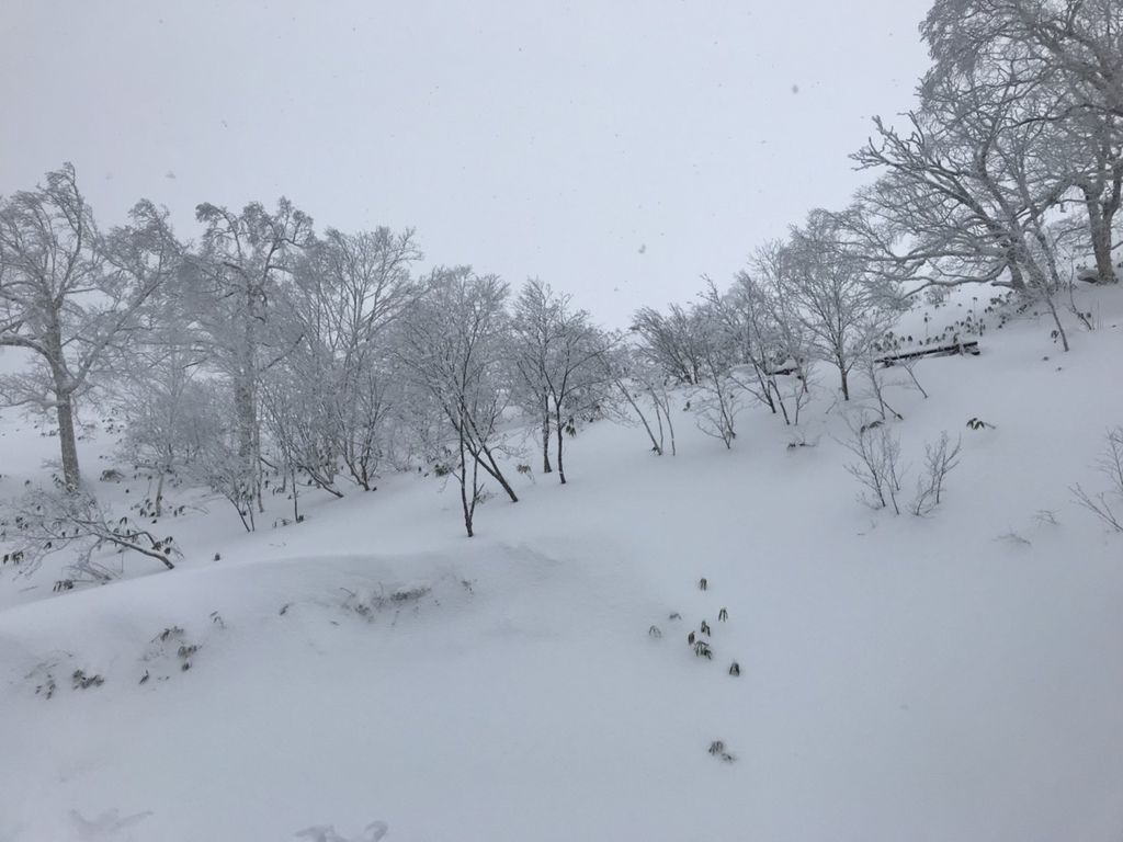 20171216-北海道day3❤️_180210_0038.jpg