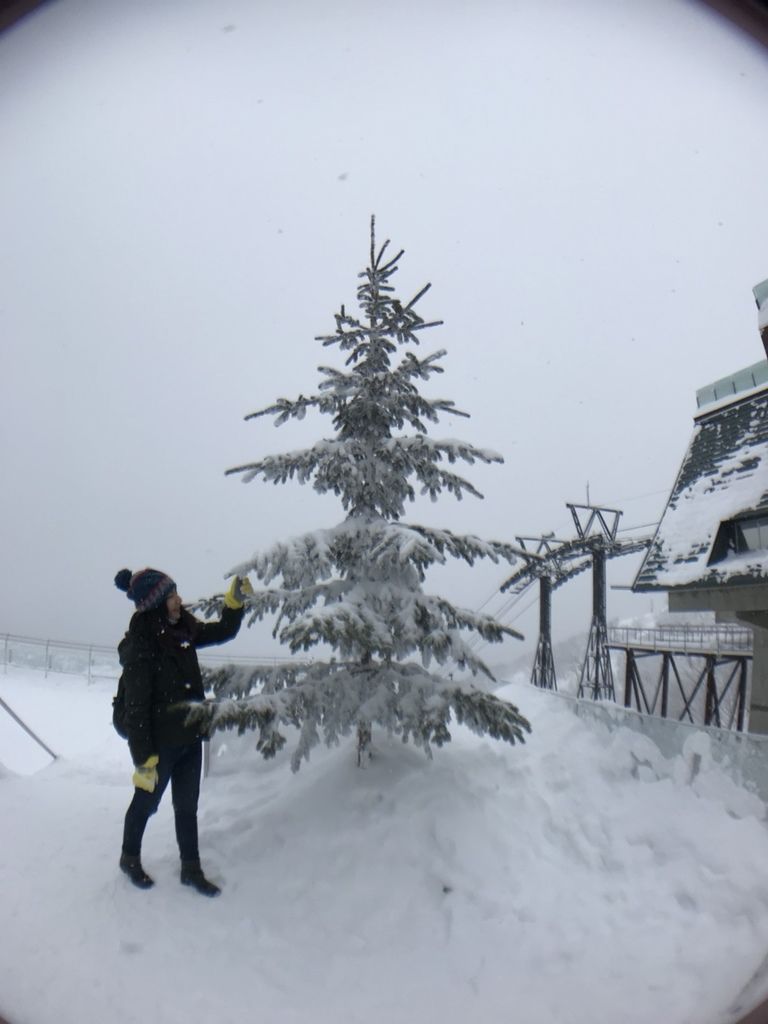 20171216-北海道day3❤️_180210_0027.jpg