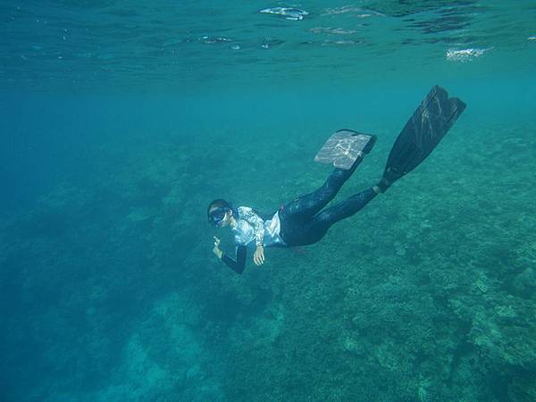 迷路吧潛水_181122_0035.jpg 迷路吧潛水_181122_0035.jpg