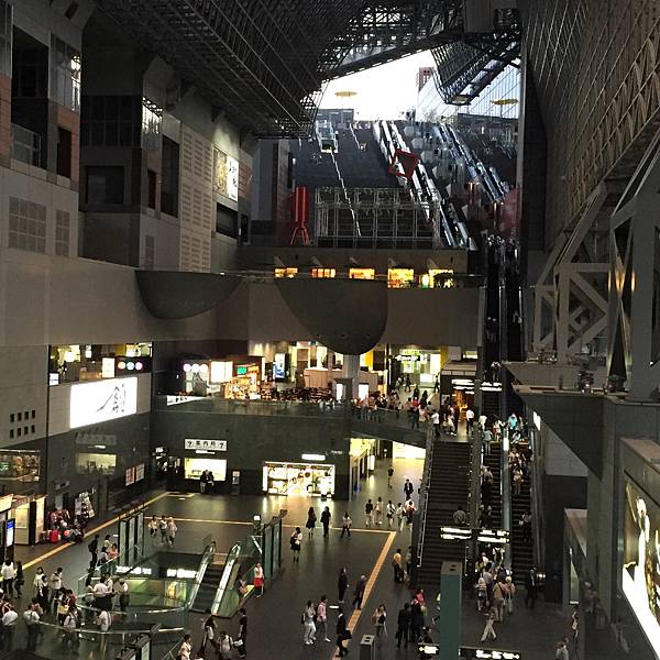 IMG_4310.JPG IMG_4310.JPG