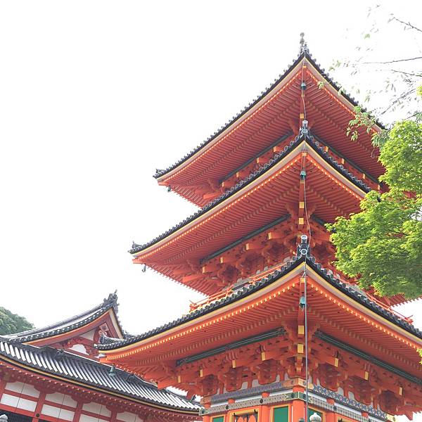 IMG_4366.JPG IMG_4366.JPG