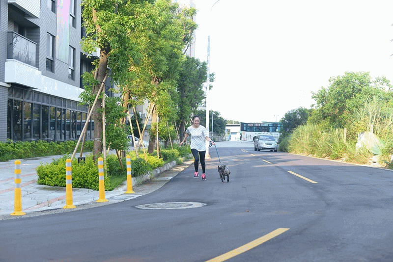 跑跑anigifDAGY