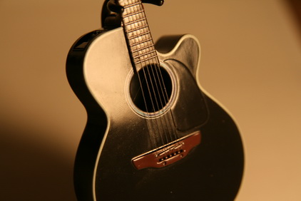 20091008Takamine 016.jpg