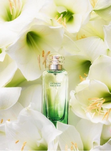 hermes un jardin sur le toit eau de toilette spray